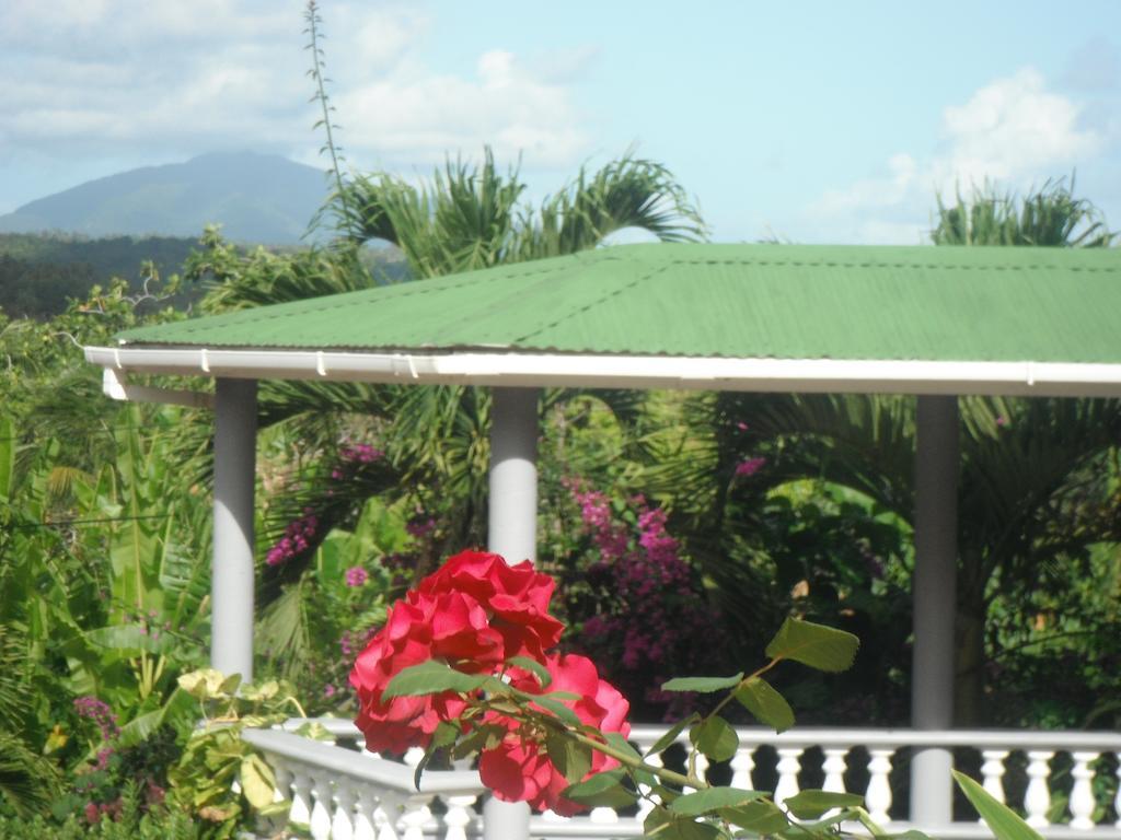 Classique International In Dominica Marigot Szoba fotó